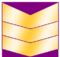 Master Sergeant